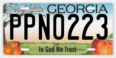 GA license plate PPN0223