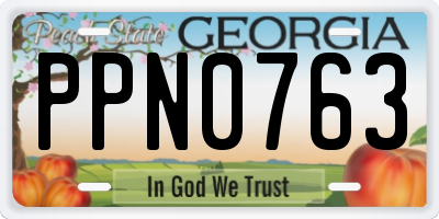 GA license plate PPN0763