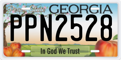 GA license plate PPN2528
