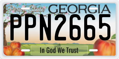 GA license plate PPN2665