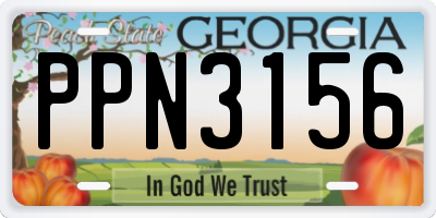 GA license plate PPN3156