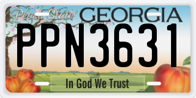 GA license plate PPN3631