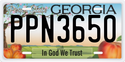 GA license plate PPN3650