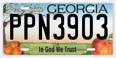 GA license plate PPN3903