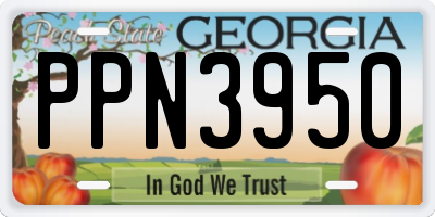 GA license plate PPN3950