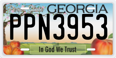 GA license plate PPN3953