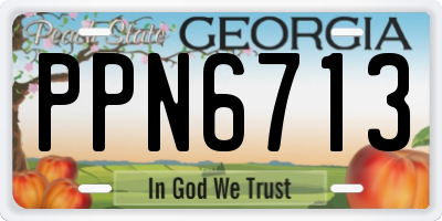 GA license plate PPN6713
