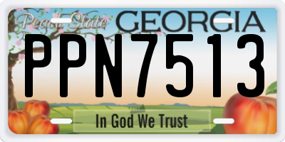 GA license plate PPN7513