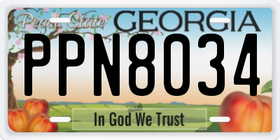GA license plate PPN8034