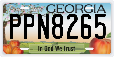 GA license plate PPN8265