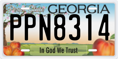 GA license plate PPN8314