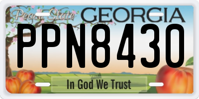 GA license plate PPN8430