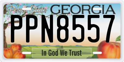 GA license plate PPN8557