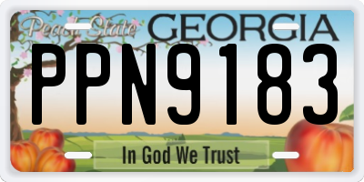 GA license plate PPN9183