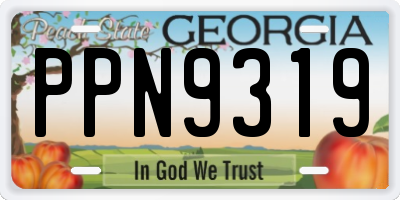 GA license plate PPN9319