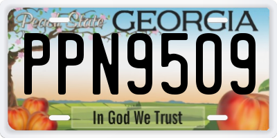 GA license plate PPN9509