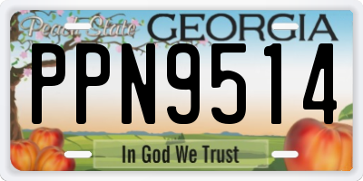 GA license plate PPN9514