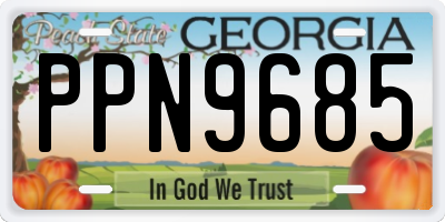 GA license plate PPN9685