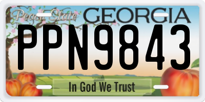GA license plate PPN9843