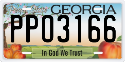 GA license plate PPO3166