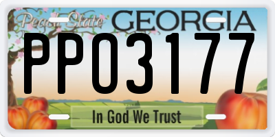 GA license plate PPO3177