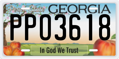GA license plate PPO3618