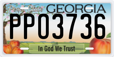 GA license plate PPO3736
