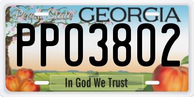 GA license plate PPO3802
