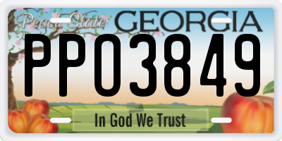 GA license plate PPO3849