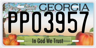 GA license plate PPO3957