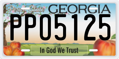 GA license plate PPO5125