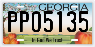 GA license plate PPO5135