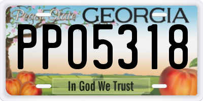 GA license plate PPO5318