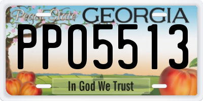 GA license plate PPO5513
