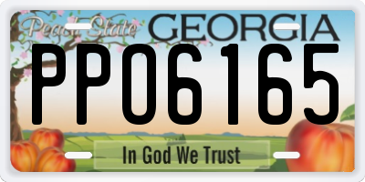 GA license plate PPO6165
