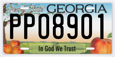 GA license plate PPO8901