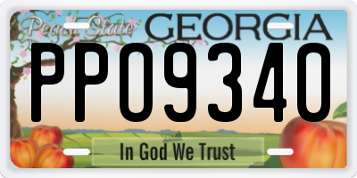 GA license plate PPO9340