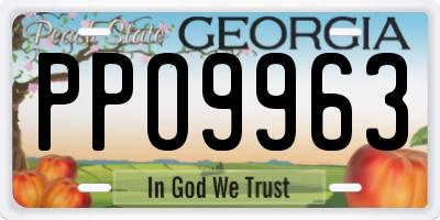 GA license plate PPO9963