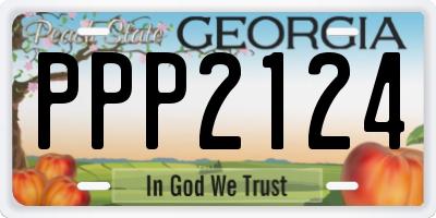 GA license plate PPP2124