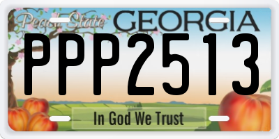 GA license plate PPP2513