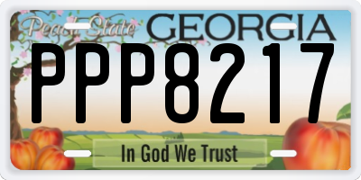GA license plate PPP8217