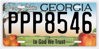 GA license plate PPP8546