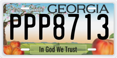 GA license plate PPP8713
