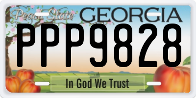 GA license plate PPP9828