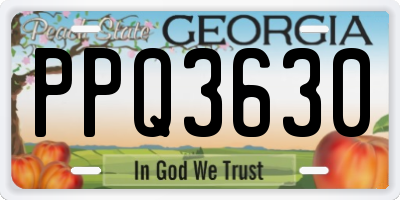 GA license plate PPQ3630