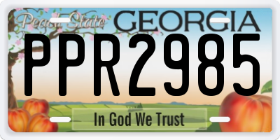 GA license plate PPR2985