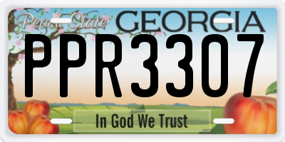 GA license plate PPR3307