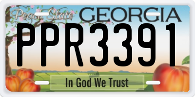 GA license plate PPR3391