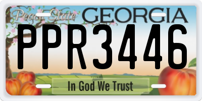 GA license plate PPR3446