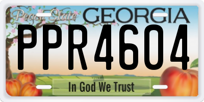 GA license plate PPR4604